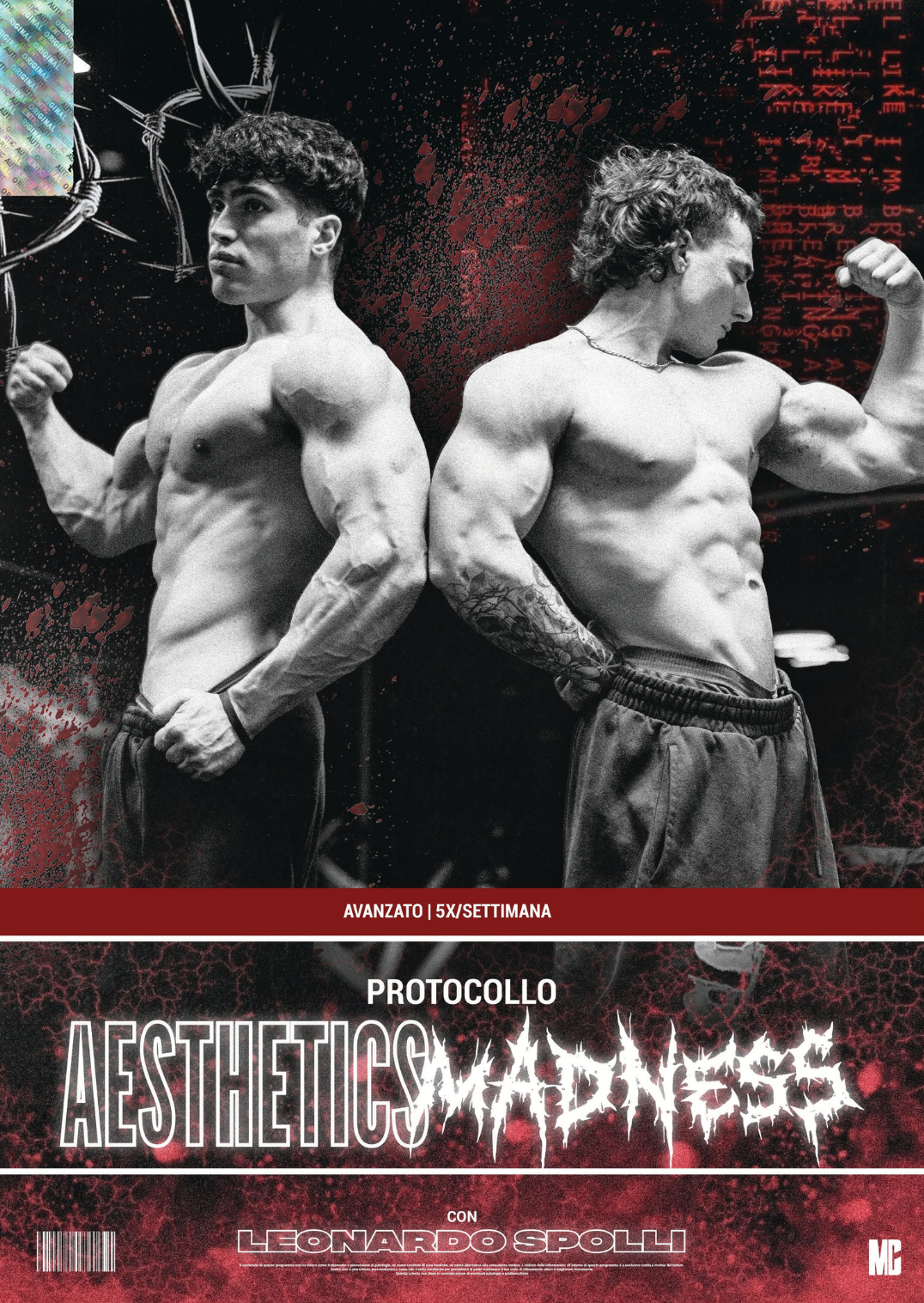 Aesthetichs x MADNESS