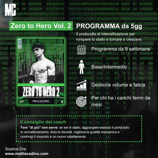 Zero to Hero - Vol. 2
