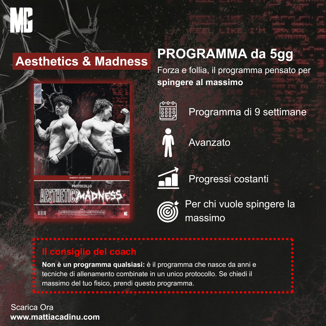Aesthetichs x MADNESS