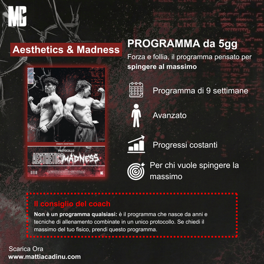 Aesthetichs x MADNESS
